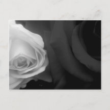 Rosas Pretas e Brancas