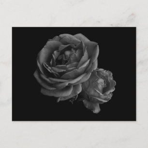 Cartão Postal Rosas Pretos Góticos