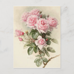 Cartão Postal Rosas Românticas Vitorianas Antigas