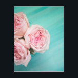 Cartão Postal Rosas rosa e fundo lacrimogêneo<br><div class="desc">Rosas cor-de-rosa e fotografia de fundo lacrimogêneo</div>