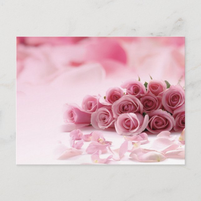 Cartão Postal Rosas Rosa - Floral (Frente)