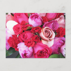 Cartão Postal Rosas Rosa Paris