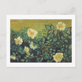 Cartão Postal Rosas selvagens, 1890. Vincent van Gogh.