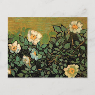 Cartão Postal Rosas selvagens (F597) Van Gogh Fine Art