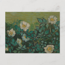 Cartão postal Rosas Silvestres de Vincent Van Gogh