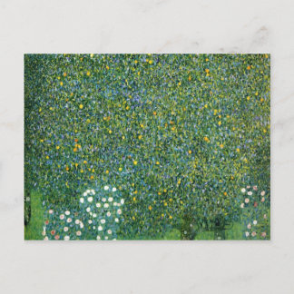 Cartão Postal Rosas sob a Árvore da Corte