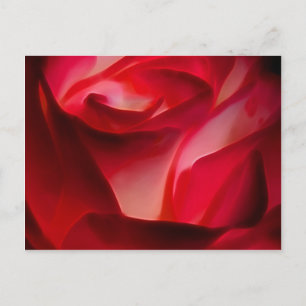 Cartão Postal rosas vermelhas