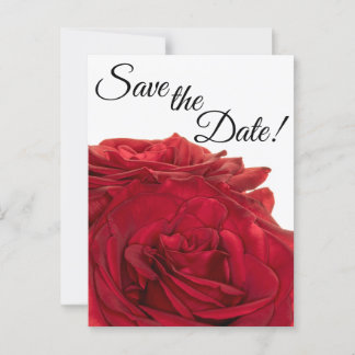 Cartão Postal rosas vermelhas 1824