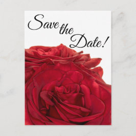 Cartão Postal rosas vermelhas 1824