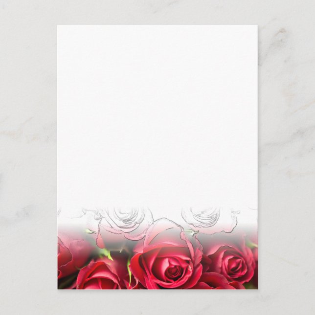 Cartão Postal Rosas vermelhas com contornos pretos (Frente)