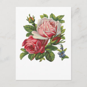 Cartão Postal Rosas VINTAGE