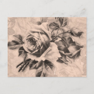 Cartão Postal Rosas Vintage Sepia
