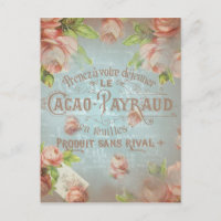 Rosas vintage shabby chic typo rosa