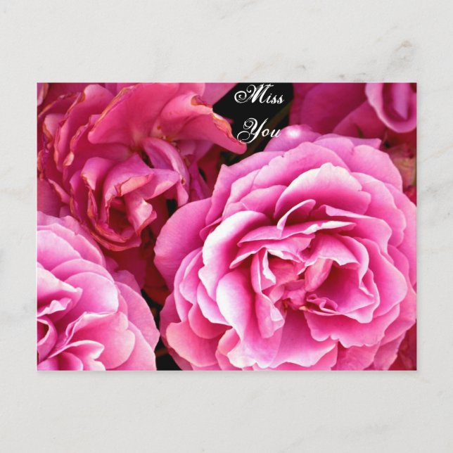 CARTÃO POSTAL ROSE_ (Frente)