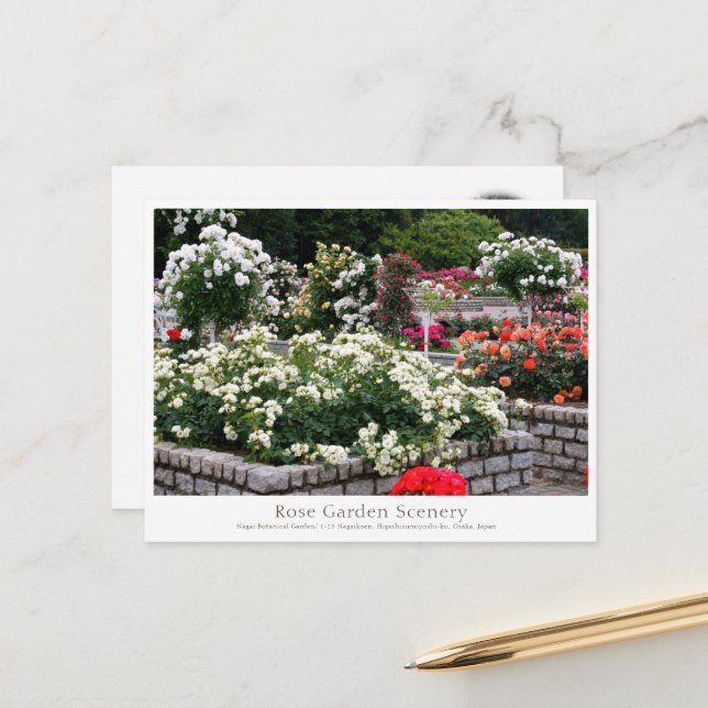 Cartão Postal Rose Garden Scenery (Frente/Verso In Situ)