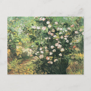 Cartão Postal Roseira em Flor por Vincent van Gogh