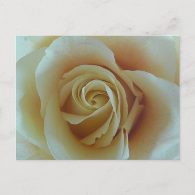 Cartão Postal Rosentraum (Frente)