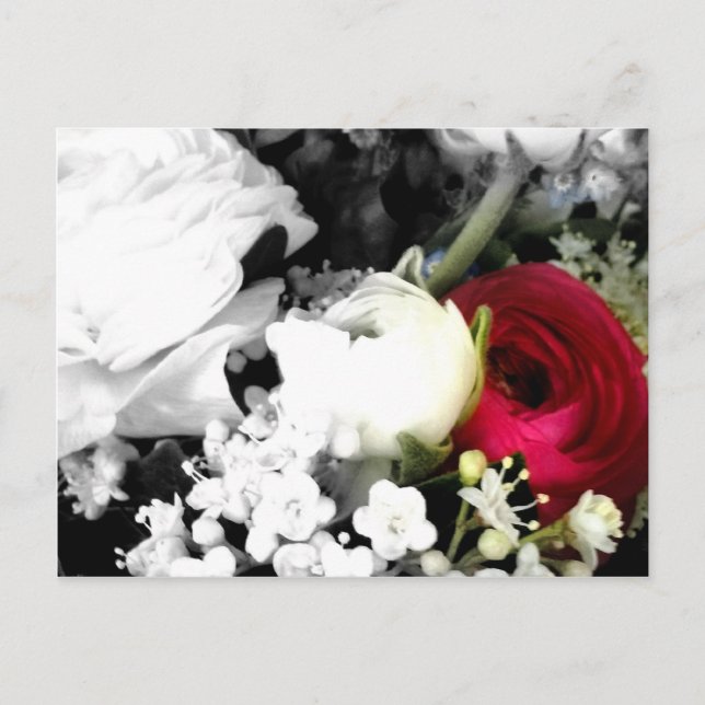 Cartão Postal Rosenweissundrot (Frente)