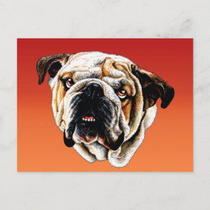 Cartão Postal Rosto de Bulldog Pintado
