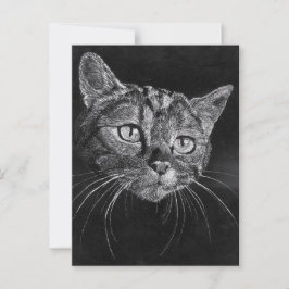 Cartão Postal Rosto de Gato 
