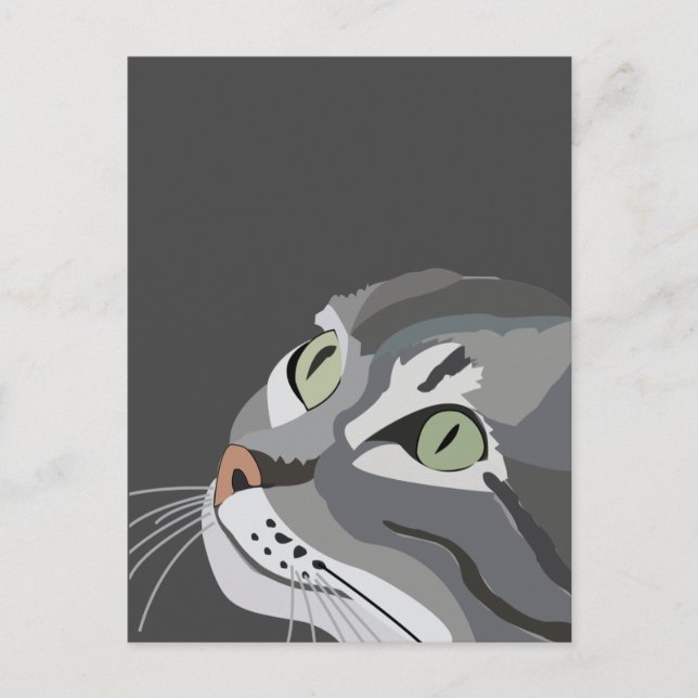 Cartão Postal Rosto de Gato (Frente)
