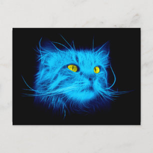 Cartão Postal Rosto de Gato Azul