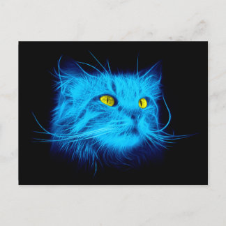 Cartão Postal Rosto de Gato Azul