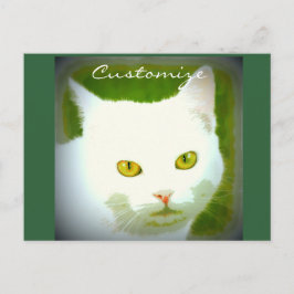 Cartão Postal Rosto de gato branco