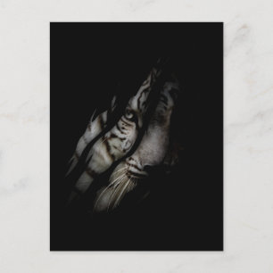 Cartão Postal Rosto de Tigre Branco Garra Rasgada Animal Selvage