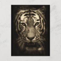 Rosto de Tigre Crescente em Tones Sepia