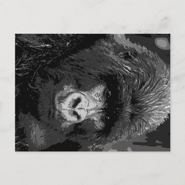 Cartão Postal Rosto Gorilla BW (Frente)