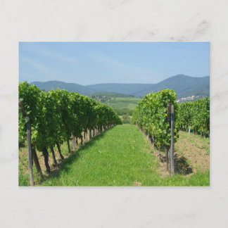 Cartão Postal Rota dos Vinhos da Alsácia