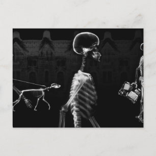Cartão Postal Roteiro da meia-noite do Skeletons do Raio X - Bra