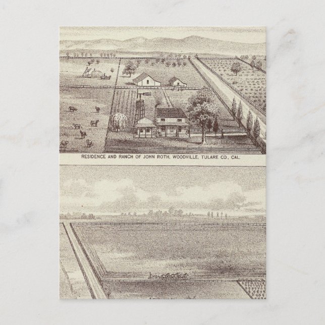 Cartão Postal Roth, ranchos Scruggs (Frente)