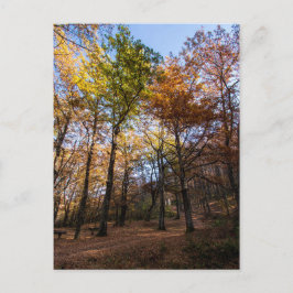 Cartão Postal Rotino, Macedônia