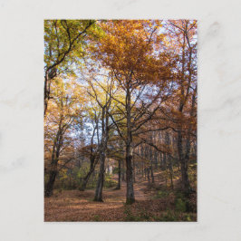 Cartão Postal Rotino, Macedônia