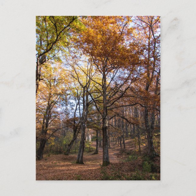 Cartão Postal Rotino, Macedônia (Frente)