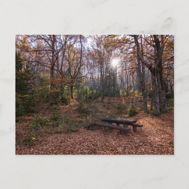 Cartão Postal Rotino, Macedônia (Frente)