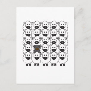 Cartão Postal Rottie in the Sheep