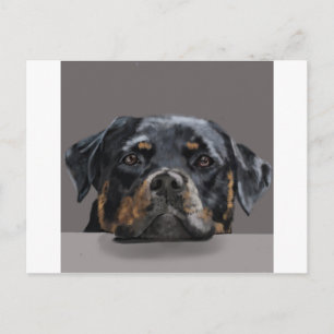 Cartão Postal Rottweiler