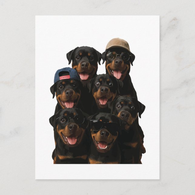 Cartão Postal Rottweiler (Frente)