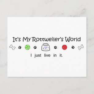 Cartão Postal Rottweiler