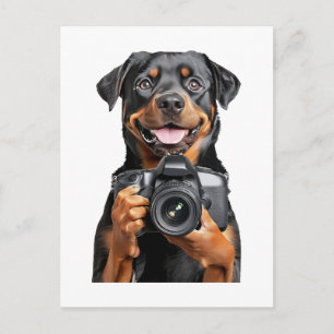 Cartão Postal Rottweiler