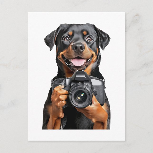 Cartão Postal Rottweiler   (Frente)
