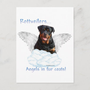 Cartão Postal Rottweiler Angel