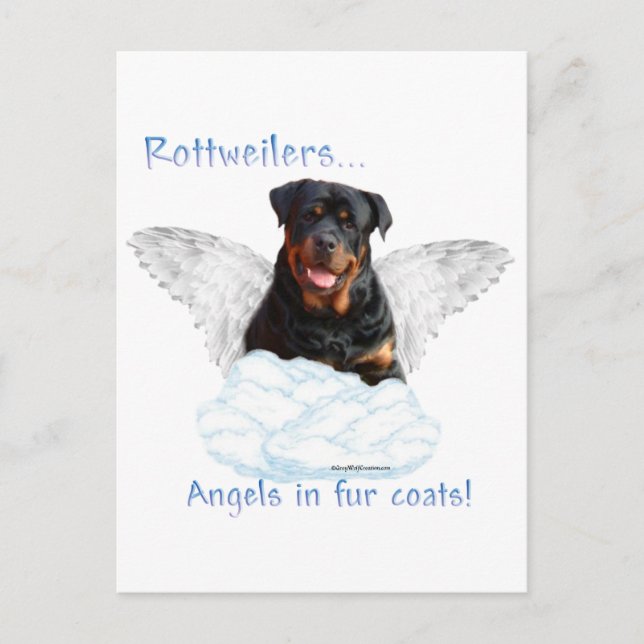Cartão Postal Rottweiler Angel (Frente)