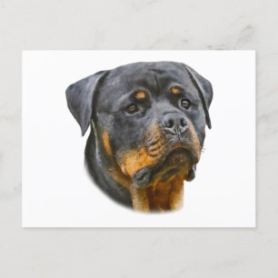 Cartão Postal Rottweiler Aquarela