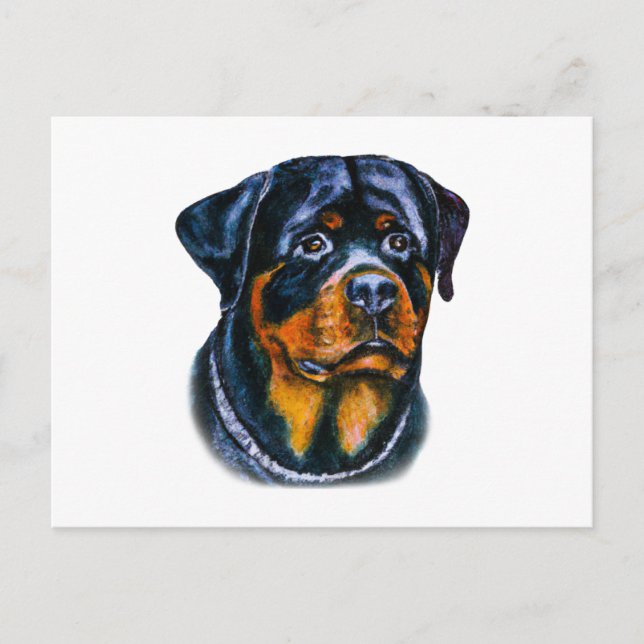 Cartão Postal Rottweiler de Aquarela (Frente)