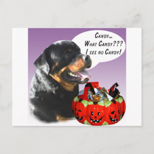 Cartão Postal Rottweiler Halloween Candy