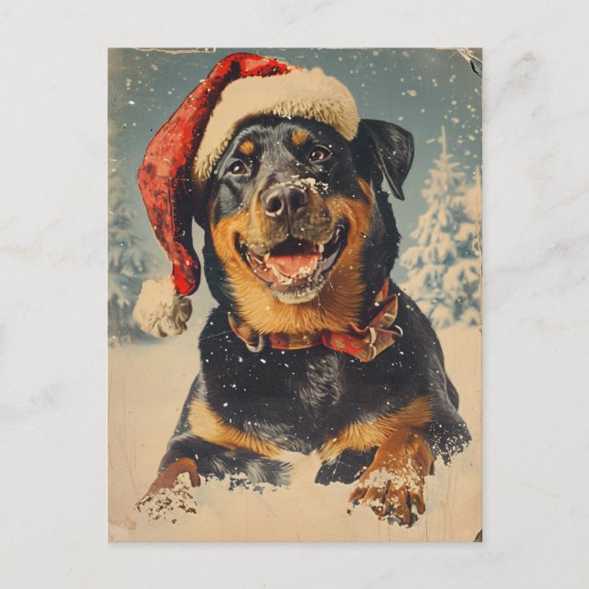 Cartão Postal Rottweiler Natal (Frente)